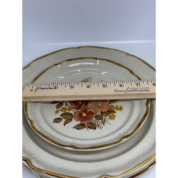 VTG Endura Collection Festive Stoneware Plates Japan Set of 5 Floral 10" - 7.25" - Picture 9 of 9